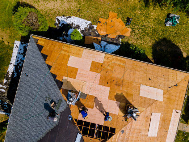 Best Tile Roofing Contractor  in Merton, WI