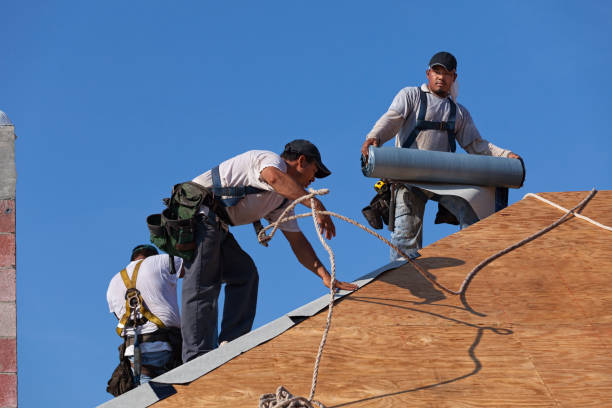 Best Flat Roof Repair Services  in Merton, WI