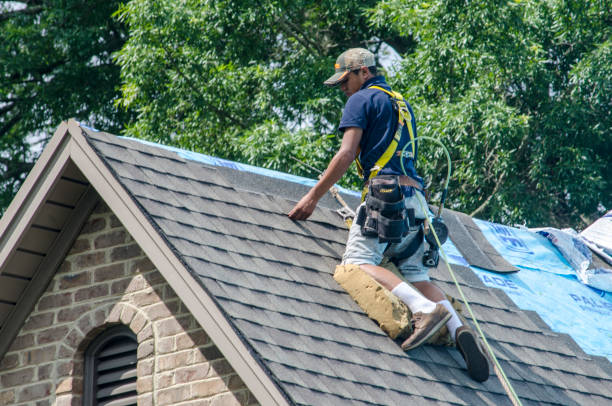 Best Local Roofing Companies  in Merton, WI